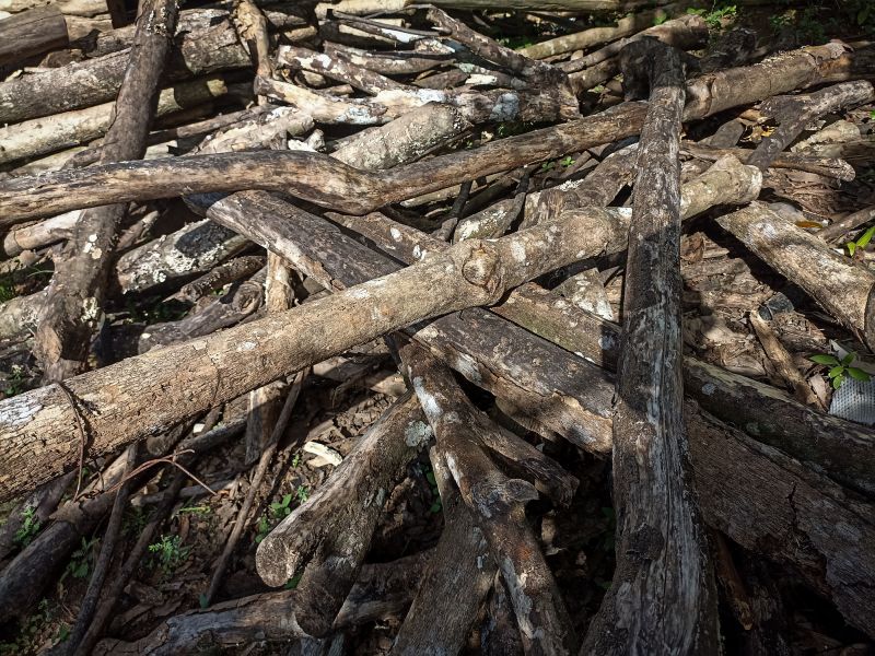 Brush Cleaning Service in Ventura County, CA