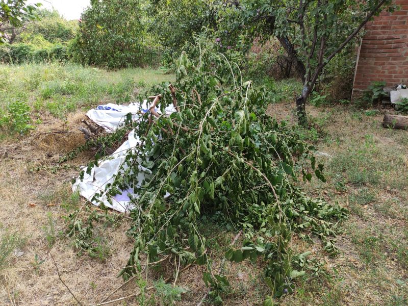 Brush Cleanup Service in Ventura County, CA