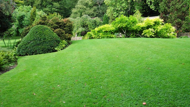 Business Landscape Design in Honolulu, HI