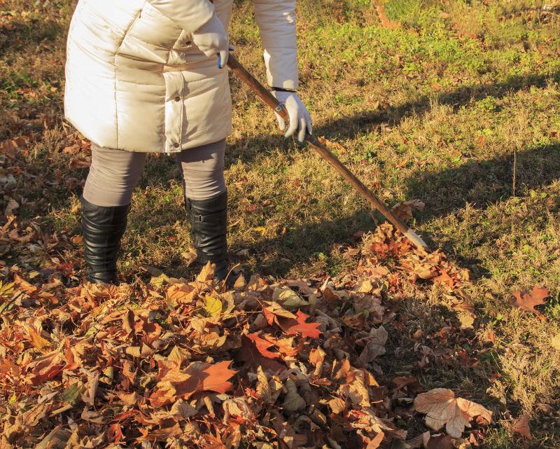 Fall Lawn Cleanup Service in Honolulu, HI