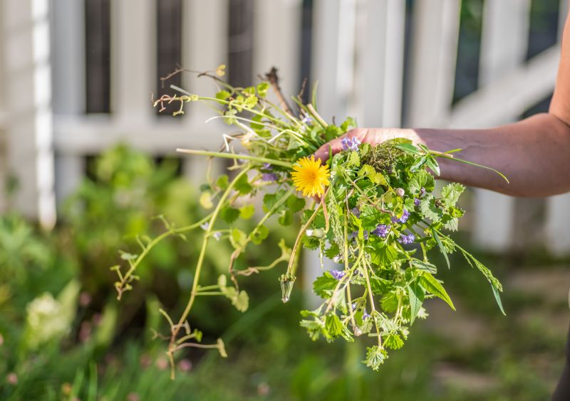 Flower Bed Weeding Service in Ventura County, CA