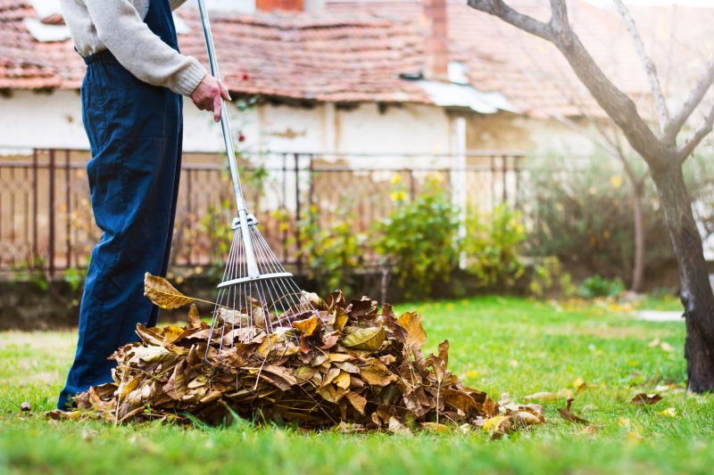 Landscaping Cleanup Service in Honolulu, HI