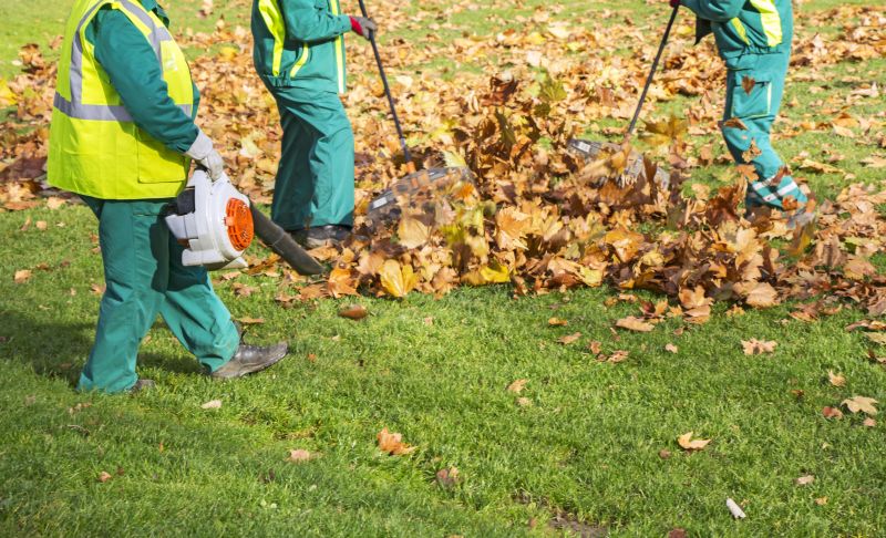 Effective Leaf Removal Costs — Cost of Leaf Removal