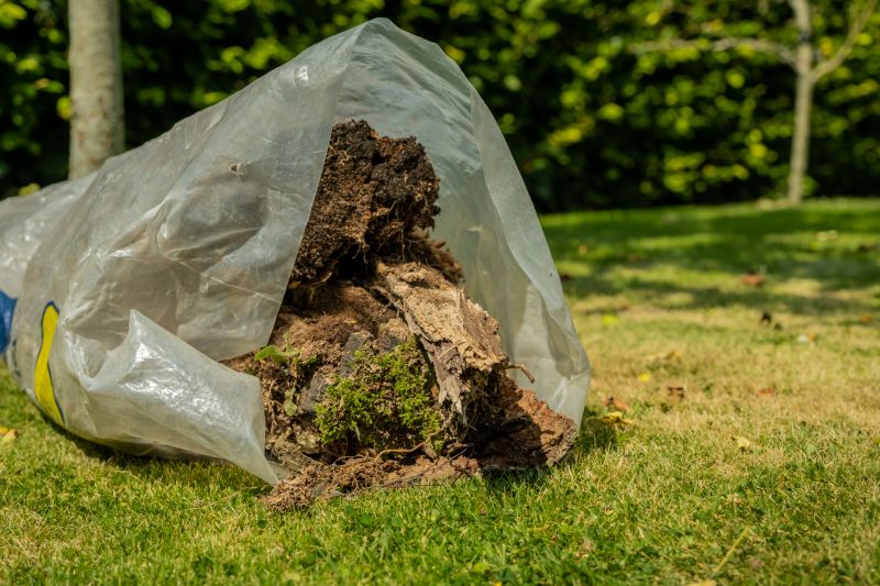 Effective Leaf Removal Costs — Cost of Leaf Removal