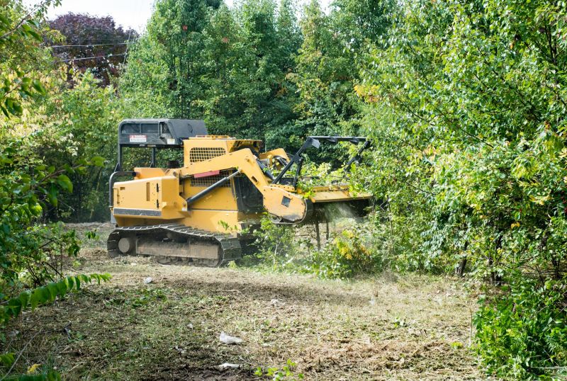 Effective Leaf Removal Costs — Cost of Leaf Removal