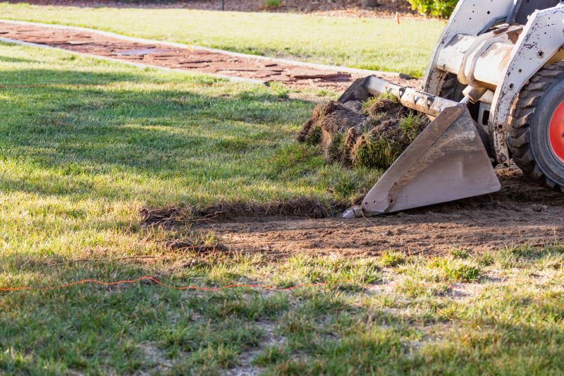 Effective Leaf Removal Costs — Cost of Leaf Removal