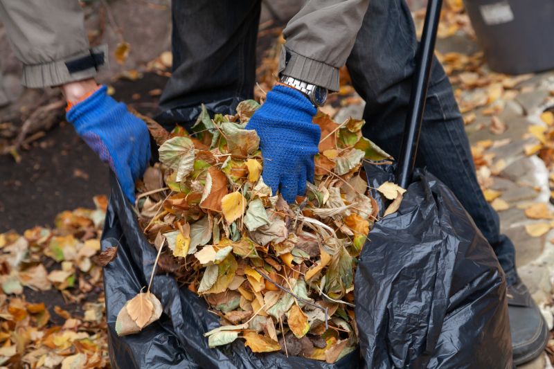 Leaves Vacuuming in Ventura County, CA