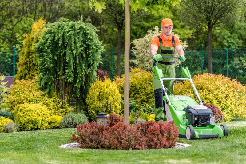 Spring Lawn Cleanup in Honolulu, HI