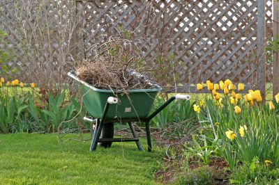 Spring Yard Clean Up Service in Ventura County, CA