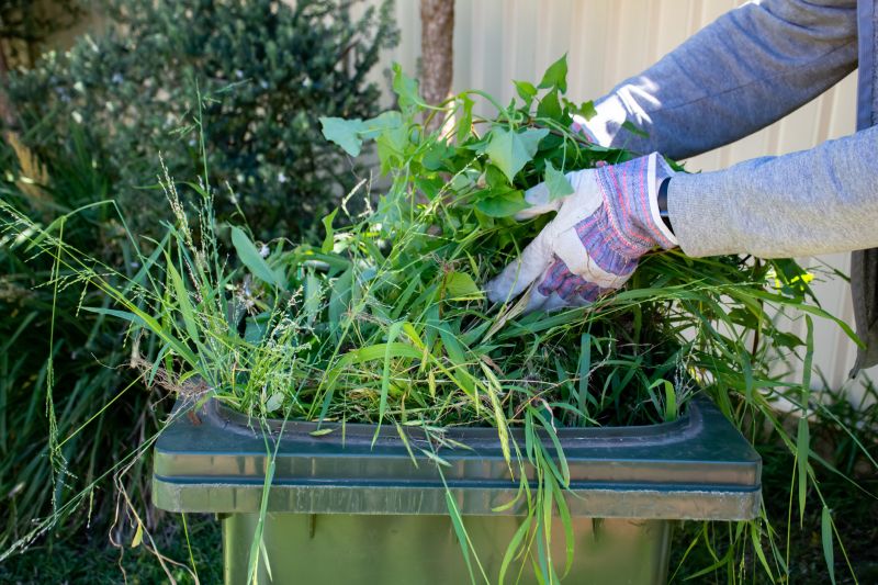 Spring Yard Cleanup in Ventura County, CA