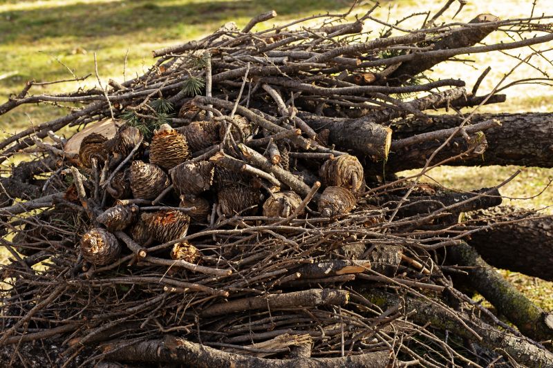 Tree Limb Cleanup in Ventura County, CA