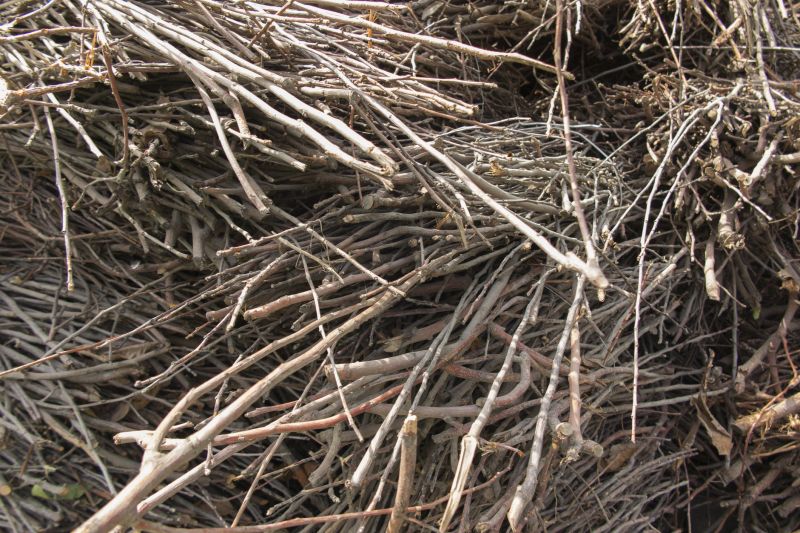 Wood Pile Removal in Ventura County, CA