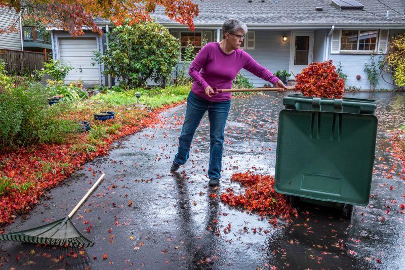 Yard Cleanup Service in Honolulu, HI