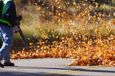 Leaf Blowing Services