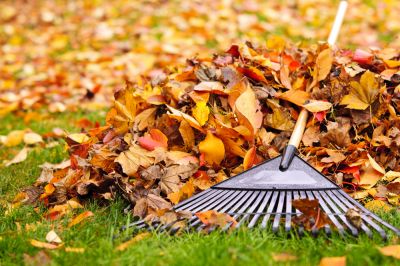 Leaf Raking Services