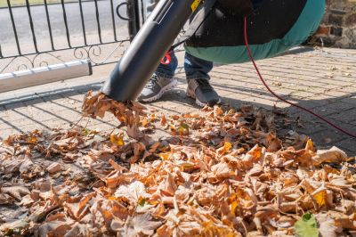 Leaf Vacuuming Services