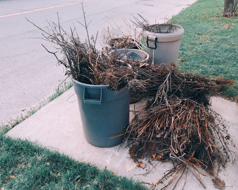Lawn Debris Cleanup in Ventura County, CA