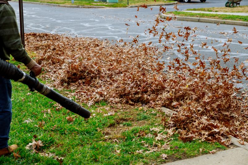 Top Rated Leaf Removal Products